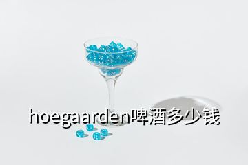 hoegaarden啤酒多少錢