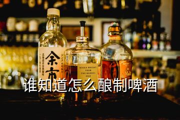 誰知道怎么釀制啤酒