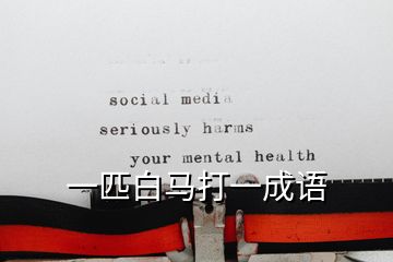 一匹白馬打一成語