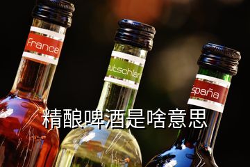 精釀啤酒是啥意思