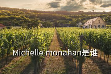 Michelle monahan是誰