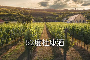 52度杜康酒