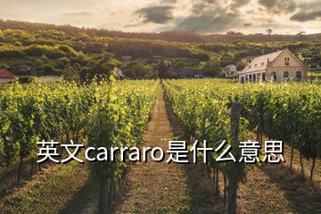 英文carraro是什么意思