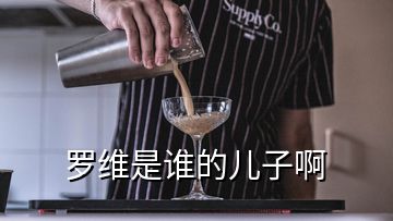 羅維是誰(shuí)的兒子啊