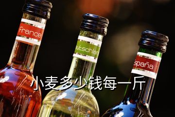 小麥多少錢每一斤