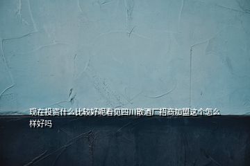 現(xiàn)在投資什么比較好呢看見四川散酒廠招商加盟這個怎么樣好嗎