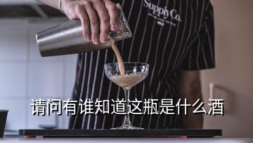 請(qǐng)問有誰知道這瓶是什么酒