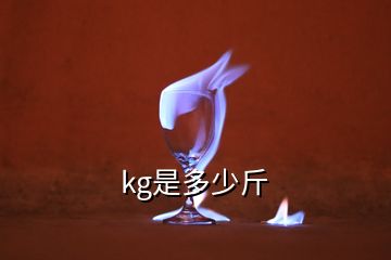 kg是多少斤