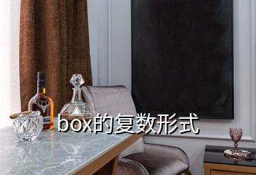 box的復(fù)數(shù)形式