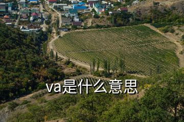 va是什么意思