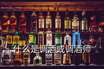 什么是調(diào)酒或調(diào)酒師