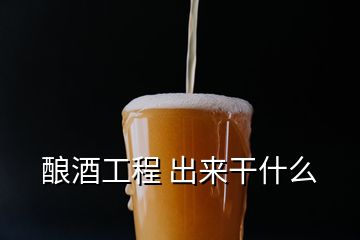 釀酒工程 出來(lái)干什么