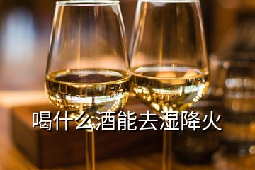 喝什么酒能去濕降火