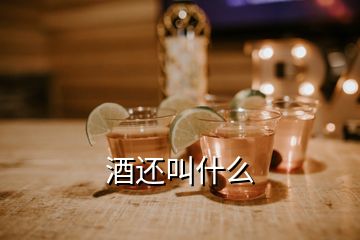 酒還叫什么