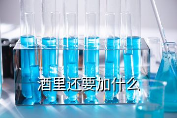 酒里還要加什么