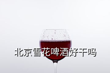 北京雪花啤酒好干嗎