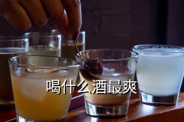 喝什么酒最爽