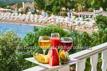 請問 CHATEAU PARADIS CASSEUIL DOMAINES BARONS DE R