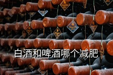 白酒和啤酒哪個減肥