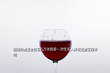 招商白酒基金我有幾萬(wàn)塊我是一次性買入好呢還是定投好啊