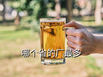 哪個(gè)省的廠最多