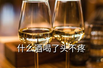 什么酒喝了頭不疼