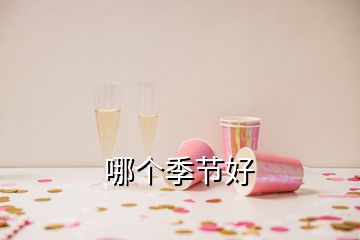 哪個(gè)季節(jié)好