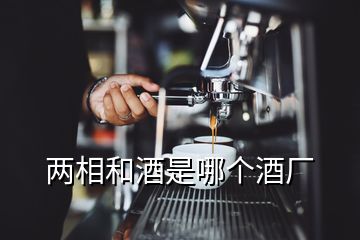 兩相和酒是哪個酒廠