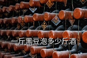 一斤黑豆泡多少斤酒