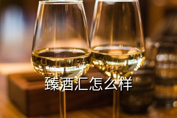 臻酒匯怎么樣