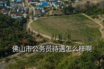 佛山市公務(wù)員待遇怎么樣啊