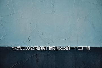 你是ECCO公司的廈門那邊ecco的一個工廠吧