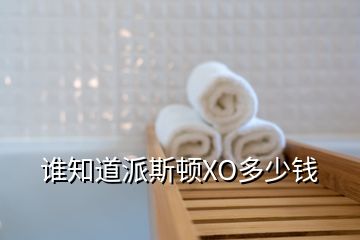 誰知道派斯頓XO多少錢