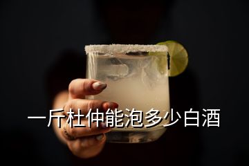 一斤杜仲能泡多少白酒