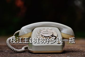 枝江王1818好多錢一瓶