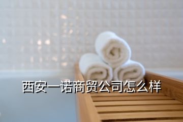 西安一諾商貿(mào)公司怎么樣