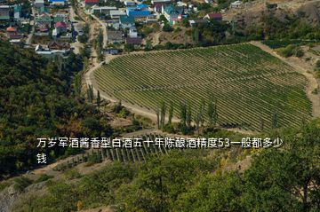 萬歲軍酒醬香型白酒五十年陳釀酒精度53一般都多少錢