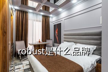 robust是什么品牌