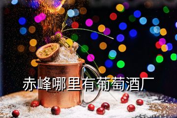 赤峰哪里有葡萄酒廠(chǎng)