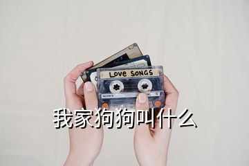 我家狗狗叫什么