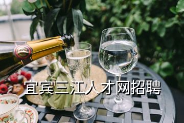 宜賓三江人才網(wǎng)招聘