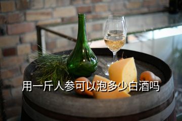 用一斤人參可以泡多少白酒嗎