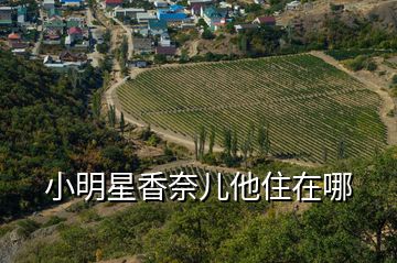 小明星香奈兒他住在哪