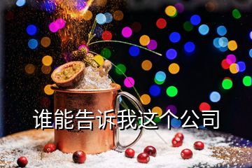 誰能告訴我這個(gè)公司