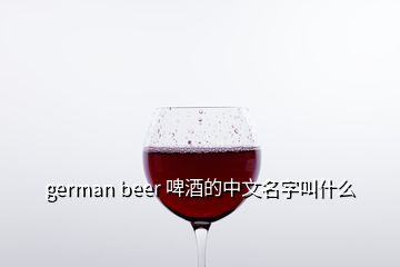 german beer 啤酒的中文名字叫什么