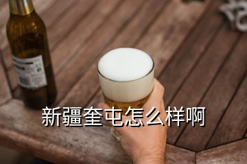 新疆奎屯怎么樣啊