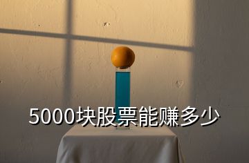 5000塊股票能賺多少