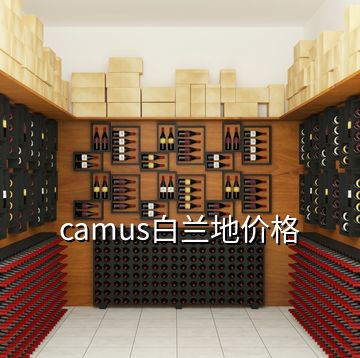 camus白蘭地價格