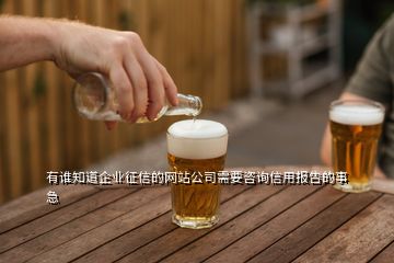 有誰(shuí)知道企業(yè)征信的網(wǎng)站公司需要咨詢(xún)信用報(bào)告的事急