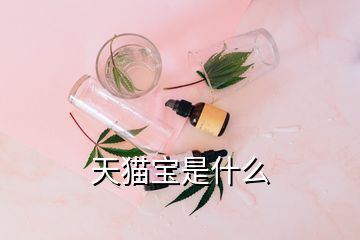 天貓寶是什么